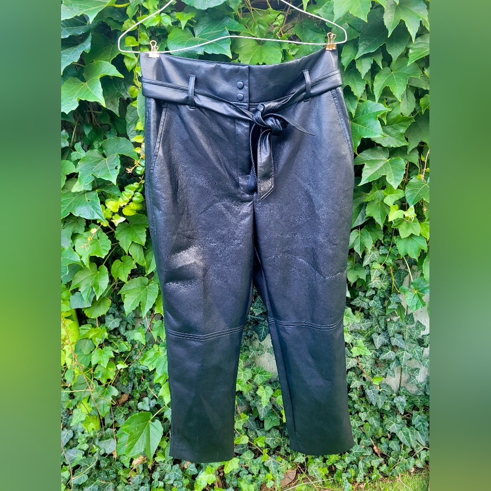 Wilfred Vegan Leather Belted Pants - Picture 2 of 4